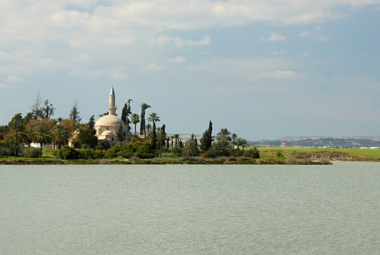 mešita leží na břehu solného jezera, které v zimních měsících obsazují hejna plameňáků